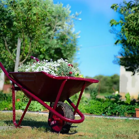 Appartamento Angelina *