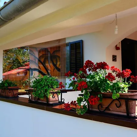 Angelina Appartamento Pola