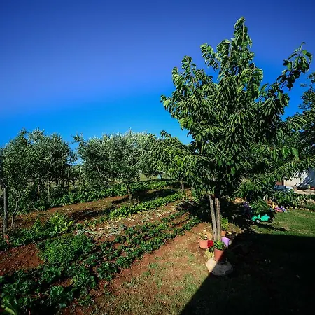 Appartamento Angelina