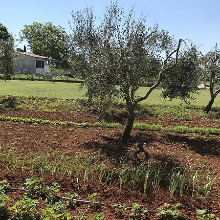 Apartamento Angelina Pula