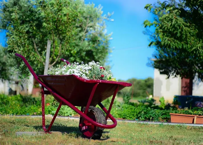 Apartamento Angelina *