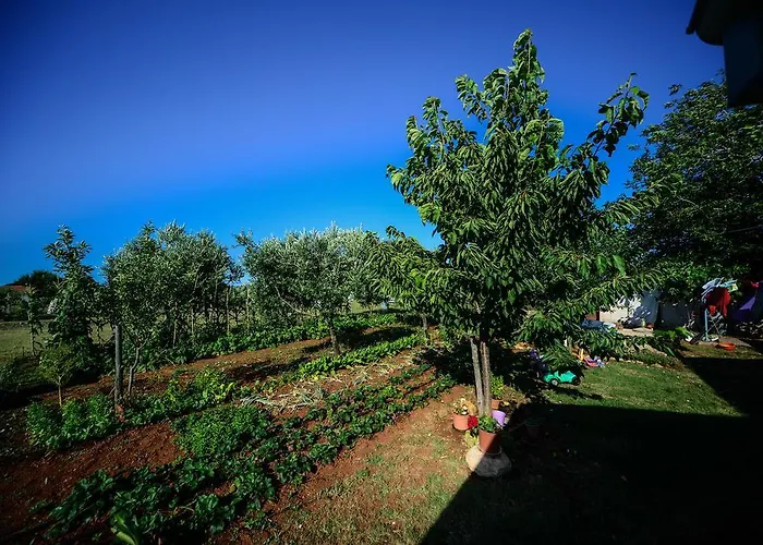 Apartamento Angelina