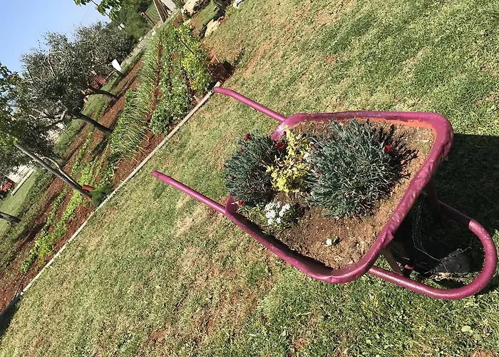 Apartamento Angelina Pula