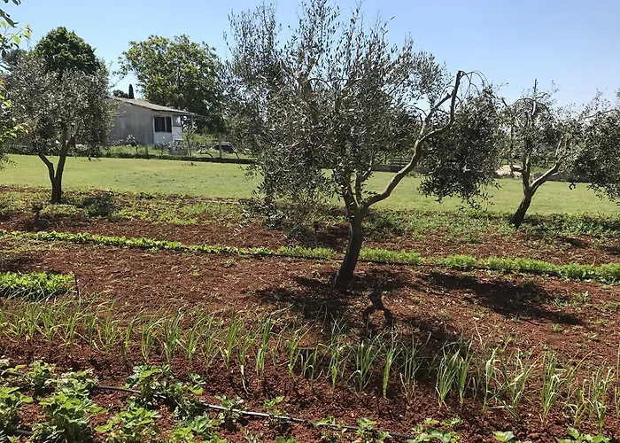 Apartamento Angelina Pula